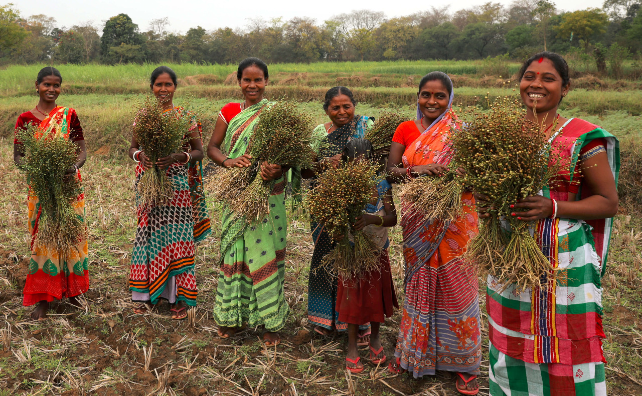 THE SANTALS - The largest tribe of Jharkhand | Tribal Connect | Blog